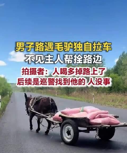 内蒙古一国道现无人驾驶驴车这头毛驴无资质、无备案、车主还醉驾离岗，全靠本能自主巡