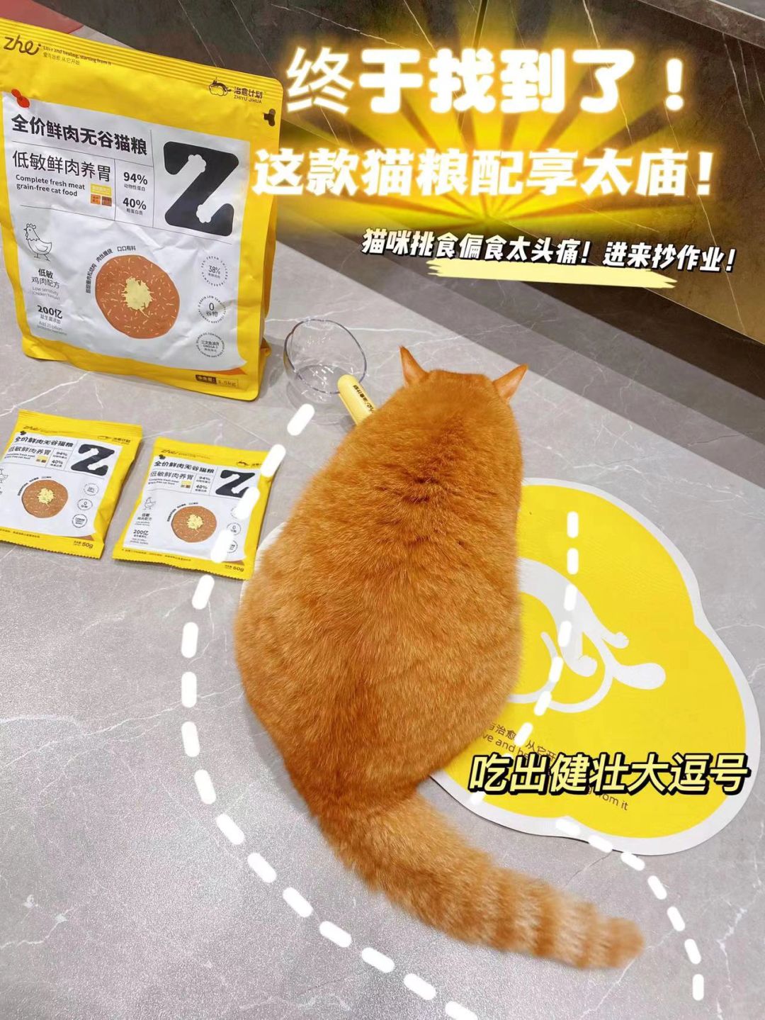 拒绝猫猫挑食，光吃不长肉达咩❗️