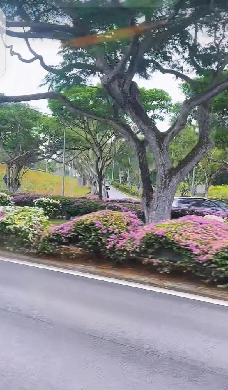 在成年人的世界里，不要逼别人说出你想听的答案，他的态度与行为就已经是最好的答案，