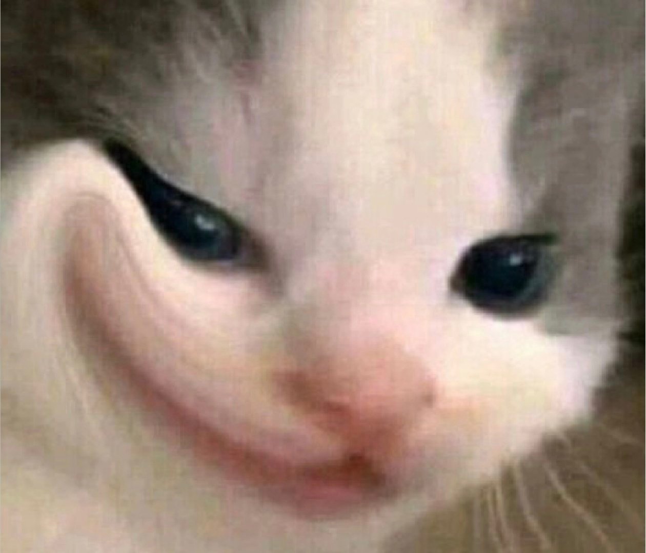 笑的，瘟的遥遥领先哈哈哈哈哈哈哈怎么能好笑成这样 