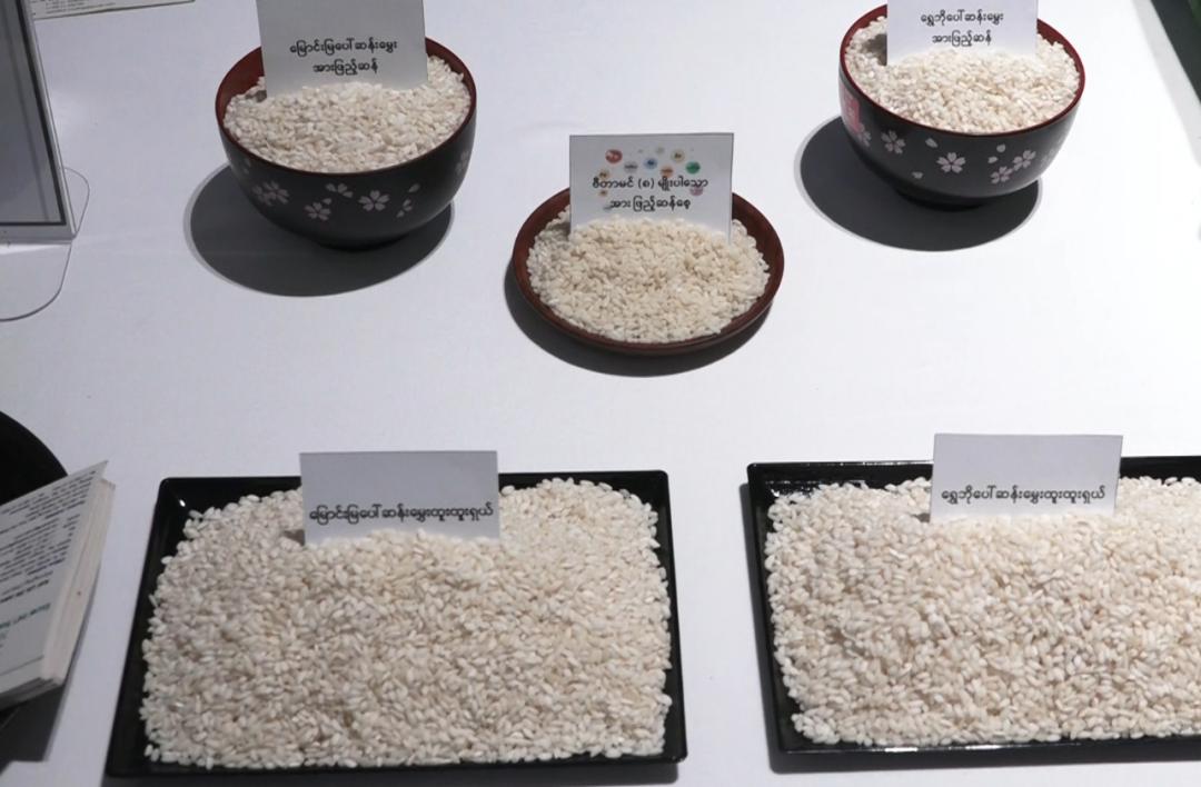 为破解家庭主妇“选米难”，缅甸举办大米知识展