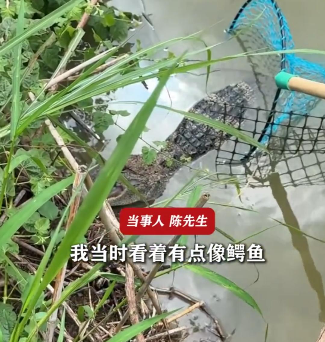 钓鱼高手陈先生去垂钓，未曾想，竟然钓上个庞然大物，赶紧报警！
前不久，安徽宣城一