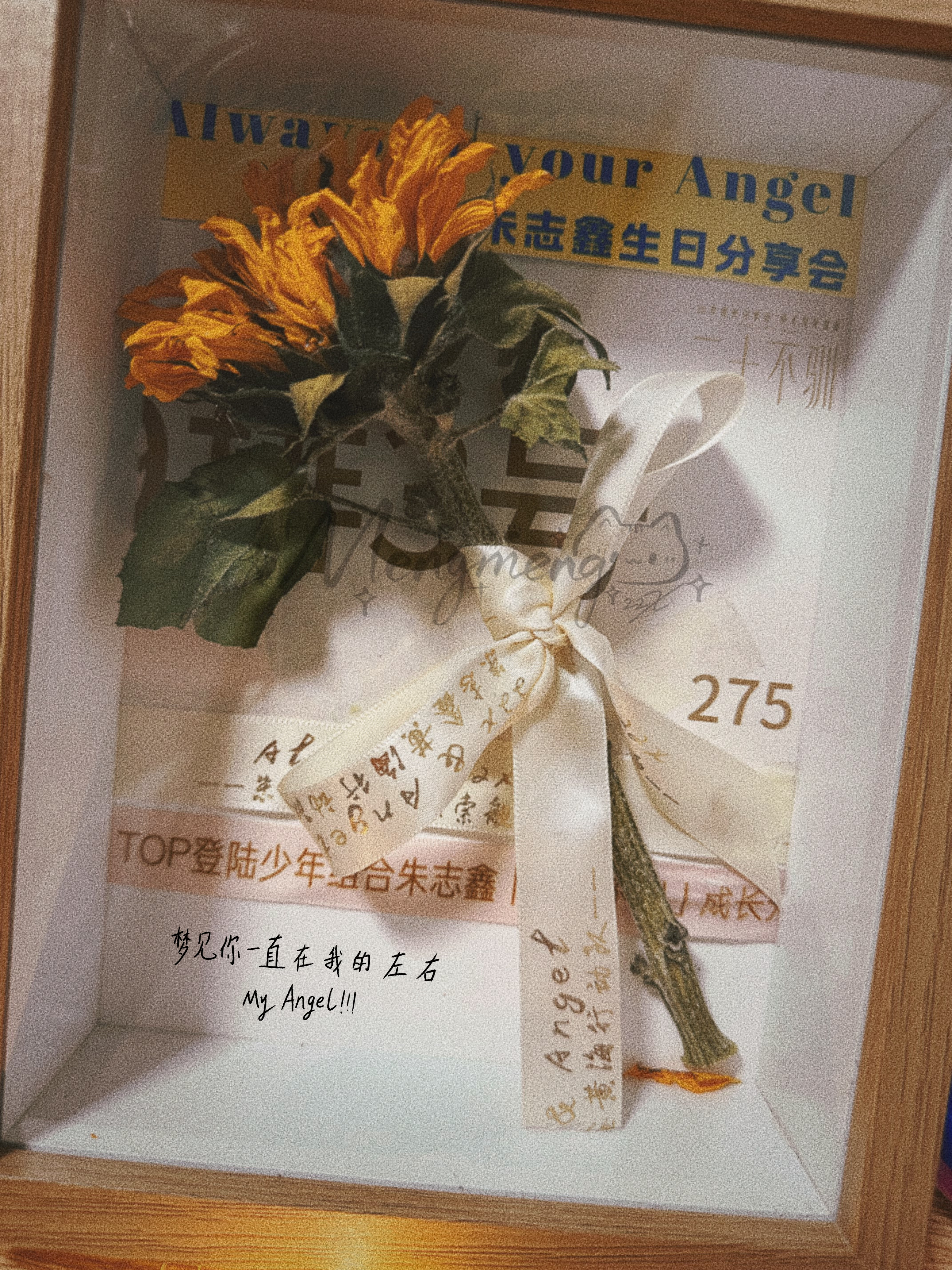 珍藏回忆🌻
