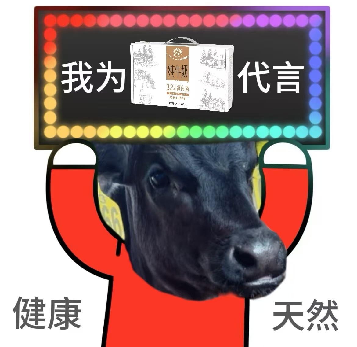 云南奶牛都吃这么好吗刷国货严选被种草乍甸牛奶，听说云南人从小喝到大。看直播探厂，
