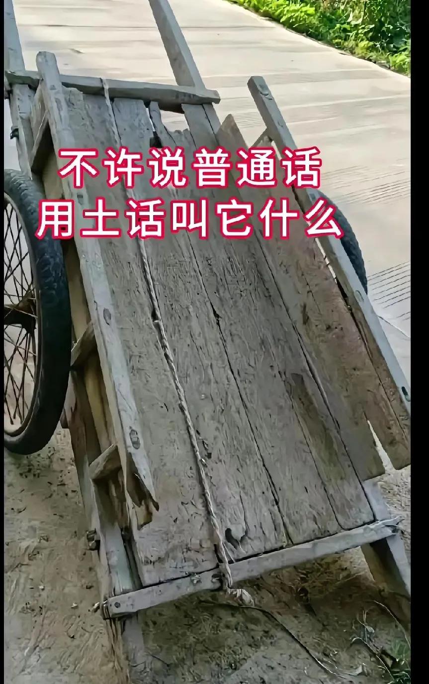 这老物件问了100多个人了，都不知道用家乡土话怎么说，说说看，你们老家那叫什么？