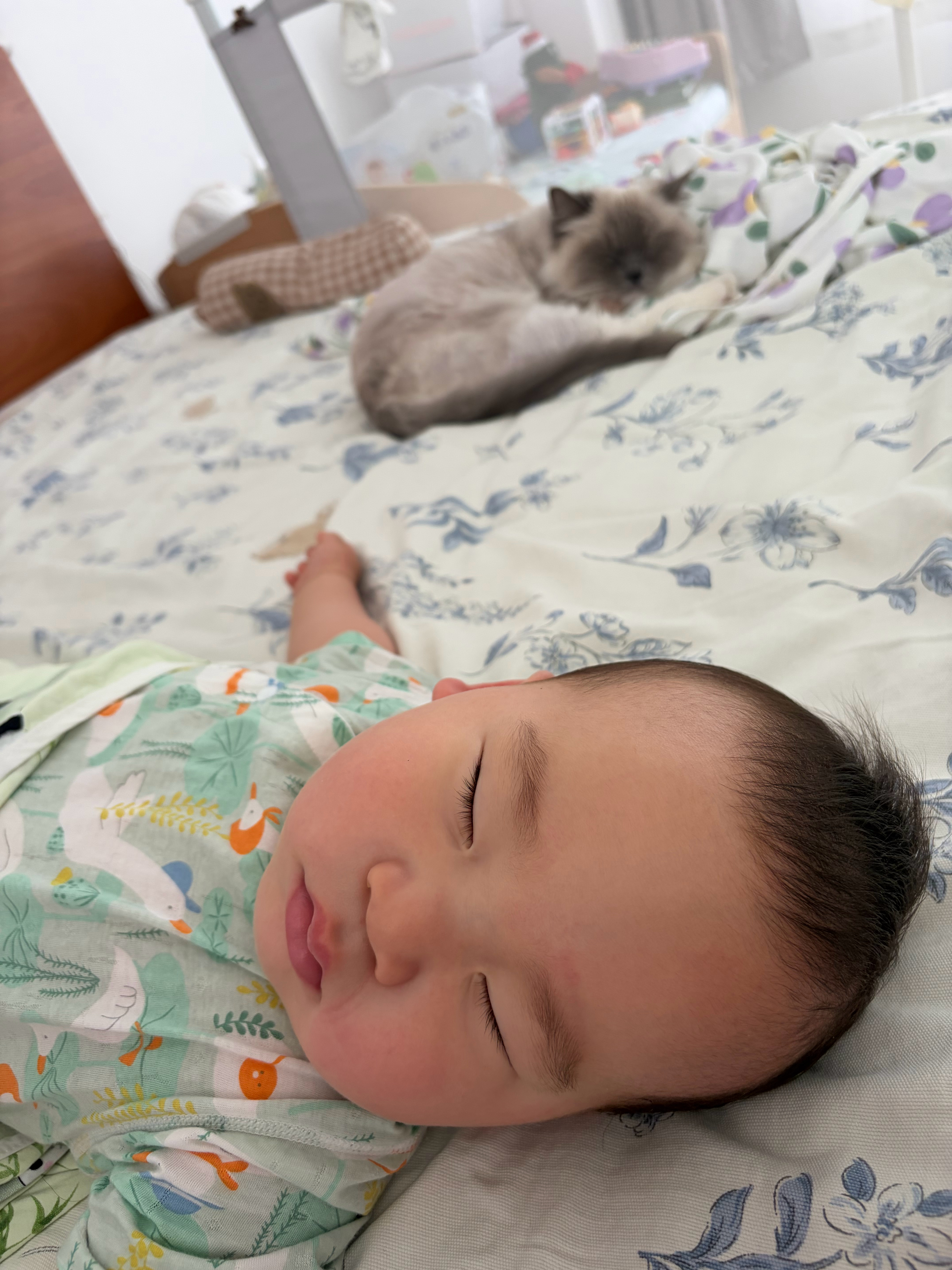 多宝真是，跟爸爸可乖了，只要听见我声儿或者看见我人，不管之前玩的多开心，都得哭两