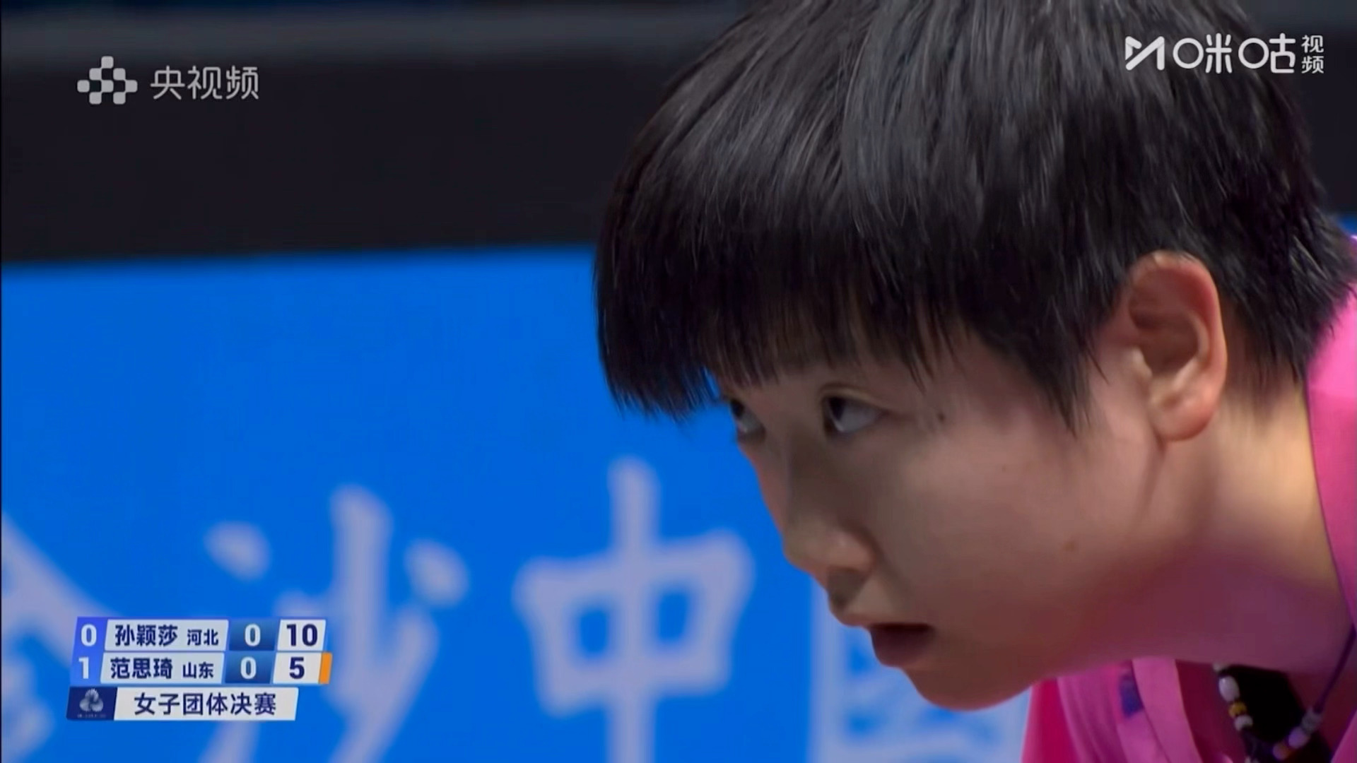 萌物水蜜桃小宝