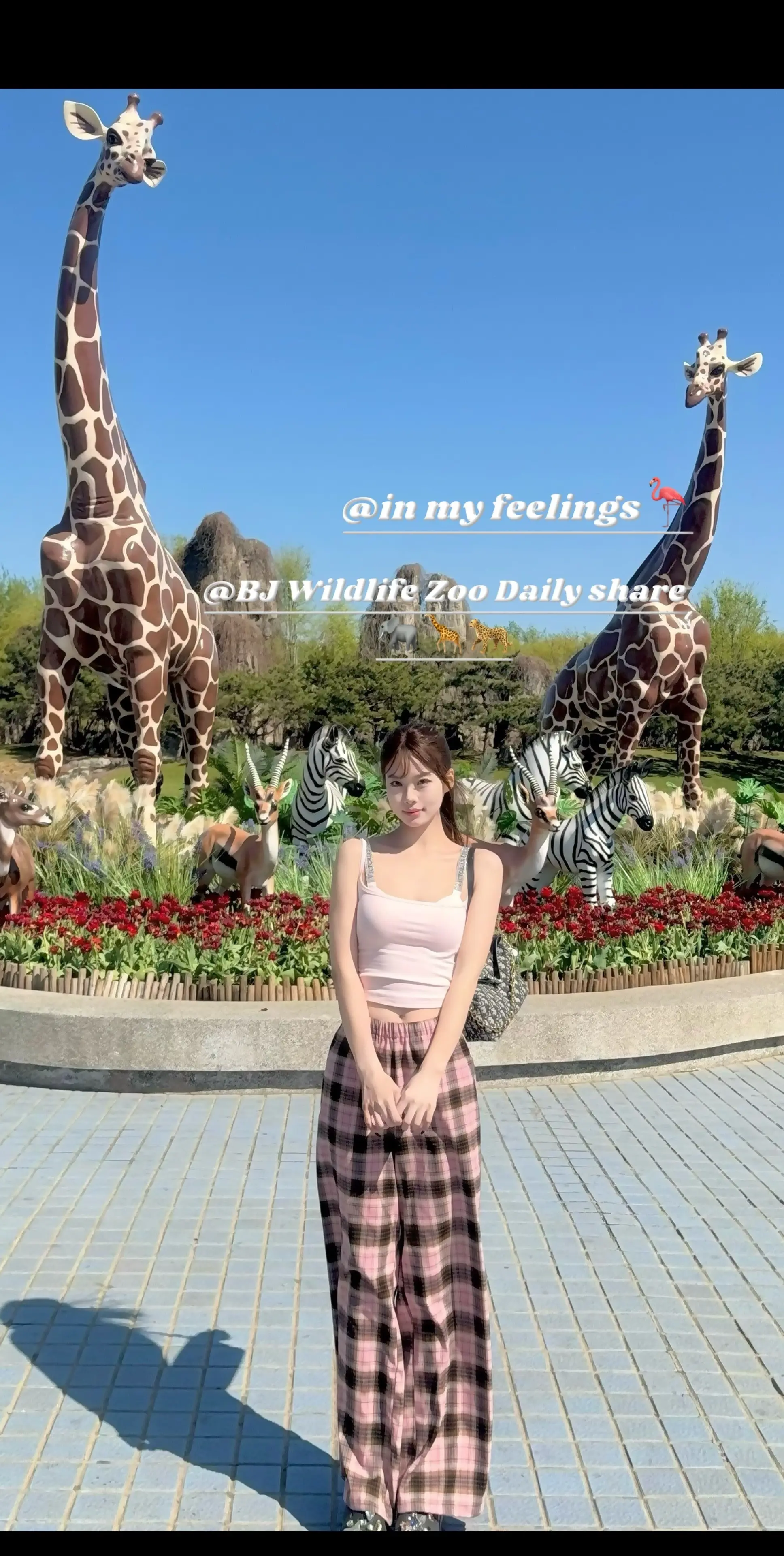 Zoooooo!!🦒🦩🐻