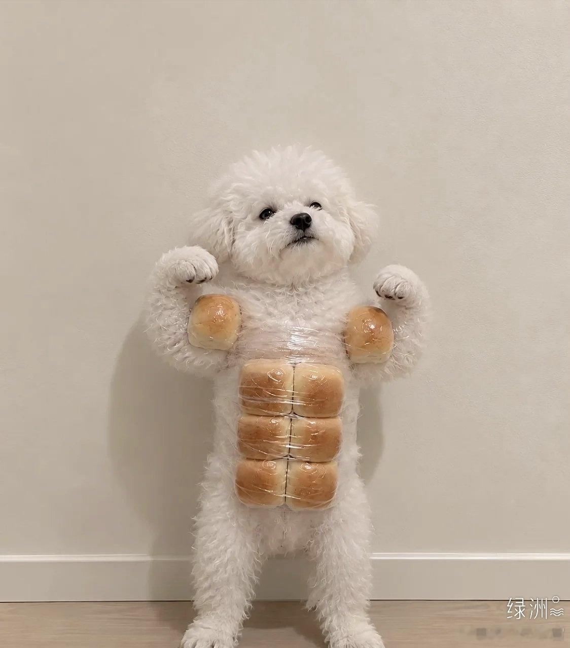 谁有我的八块腹💪('ω'💪)  ​​​