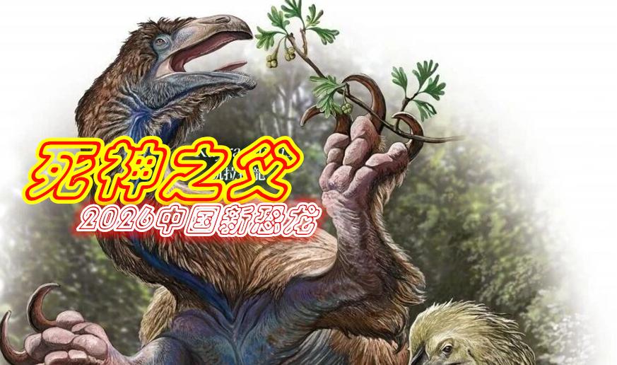2026中国新恐龙登场！“死神之父”凯拉神龙，解锁镰刀龙演化新密码
      