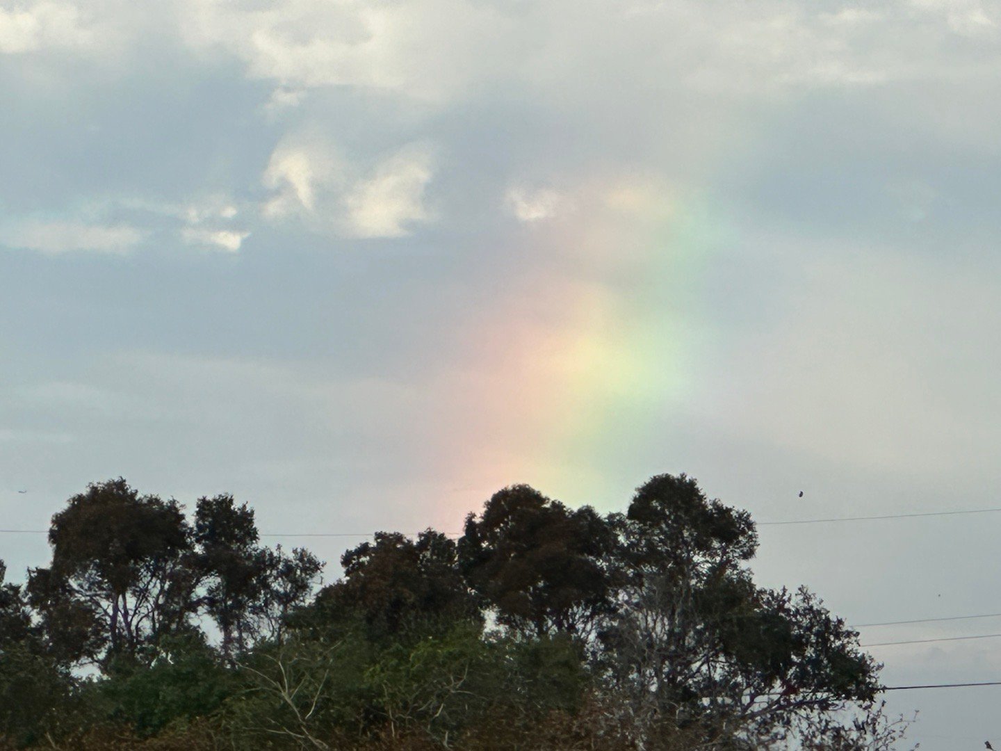 有彩虹🌈欸一丁有好事發生