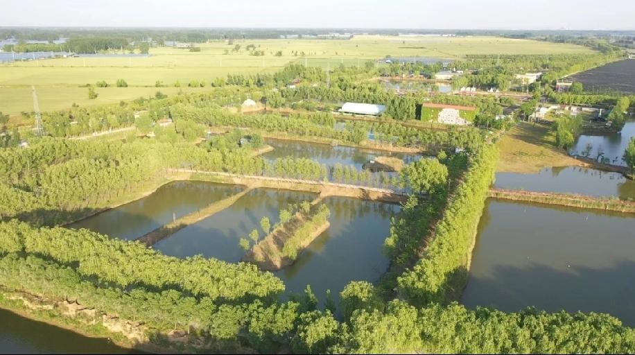 曹县黄河故道72塘
AA级景区，位于鲁豫两省交界处的曹县朱洪庙镇黄河故道，是蜿蜒