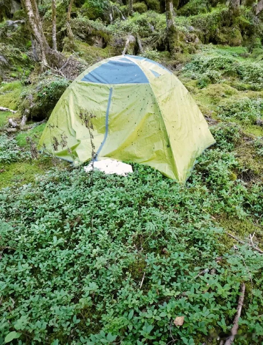 鳌太线骑友胆子真大。
挑战陕西秦岭山脉鳌太线的骑友在骑行途中遇到失联一个多月的驴