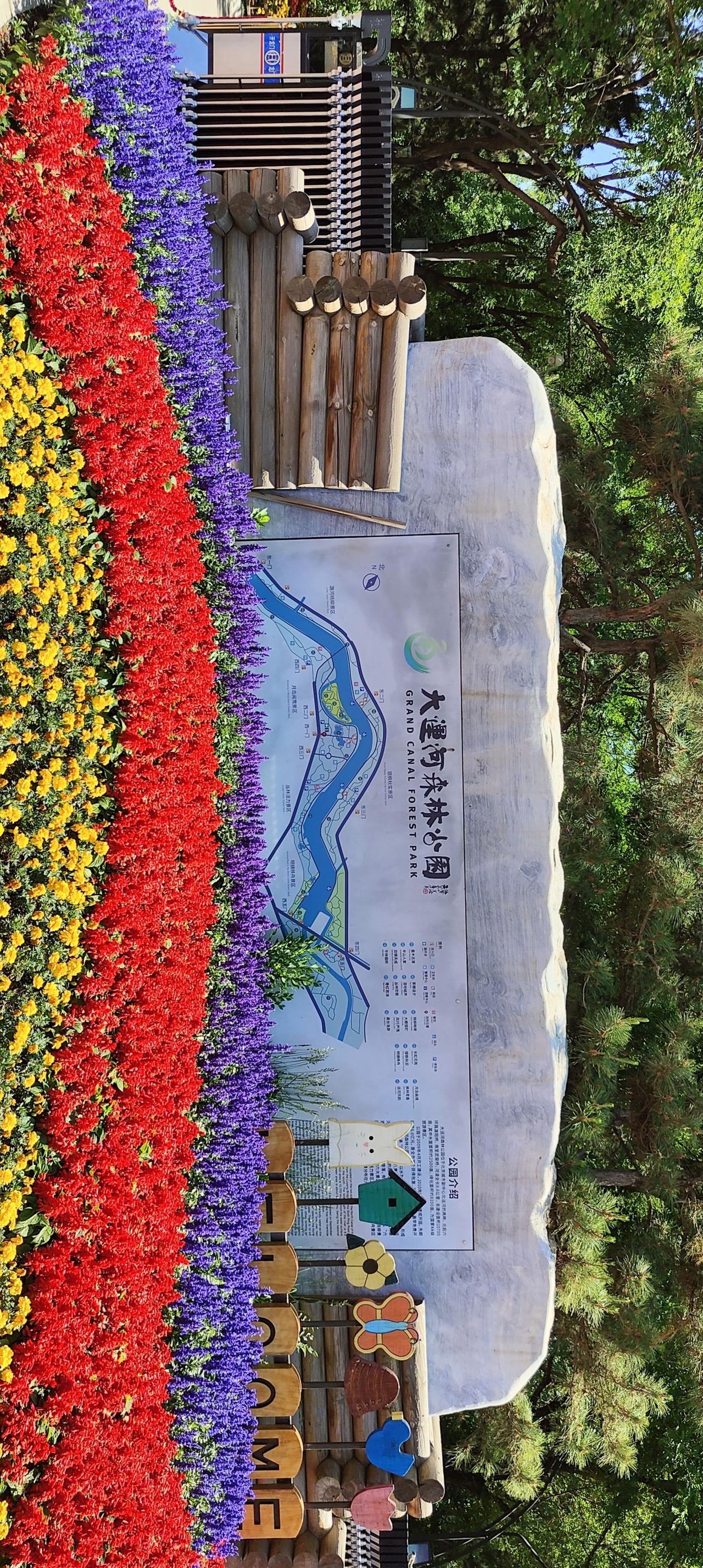 色彩斑斓的花园，欢迎来到大龙湖森林公园！🌸🌳
