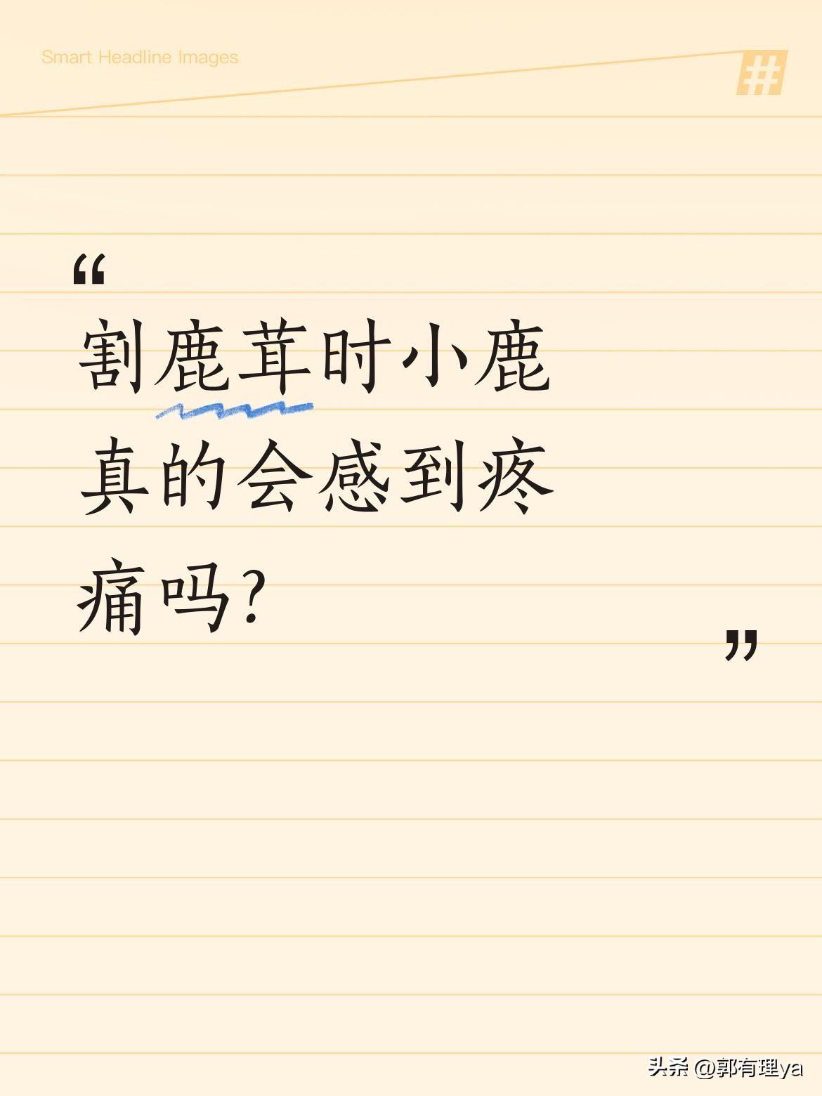 割鹿茸时小鹿真的会感到疼痛吗？
有养鹿人解释，鹿茸里有神经，收割时会流血，小鹿确