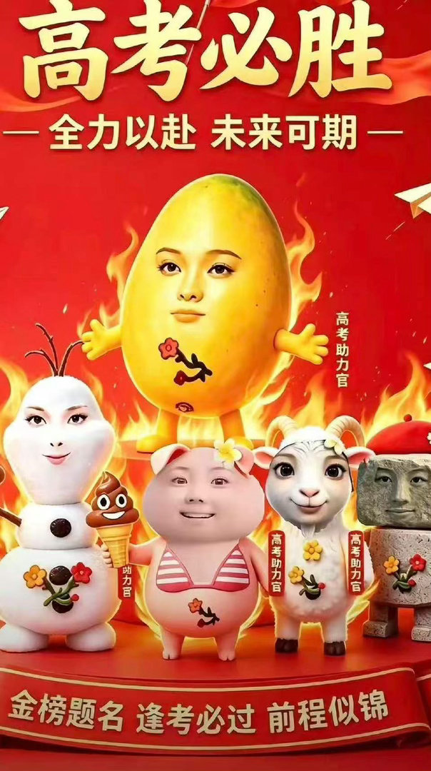 沥畜高考加油 