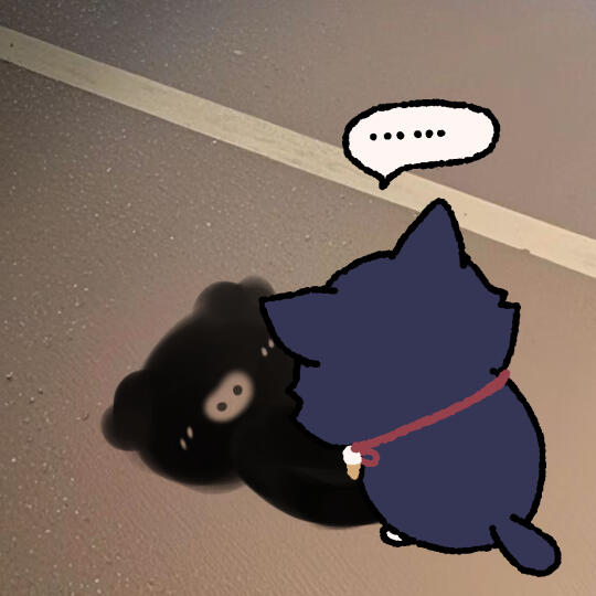 照猪镜