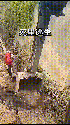 君子不立危墙之下
红衣男子要好好感谢挖机师傅
毕竟人家救了你一命