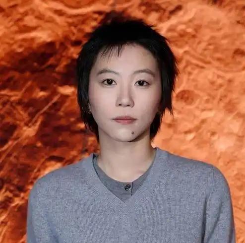 窦靖童，1997年出生于北京，是华语乐坛备受关注的独立音乐人。作为歌手，她14岁