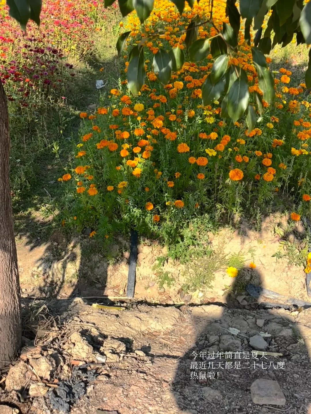 年前的汕头生活结算