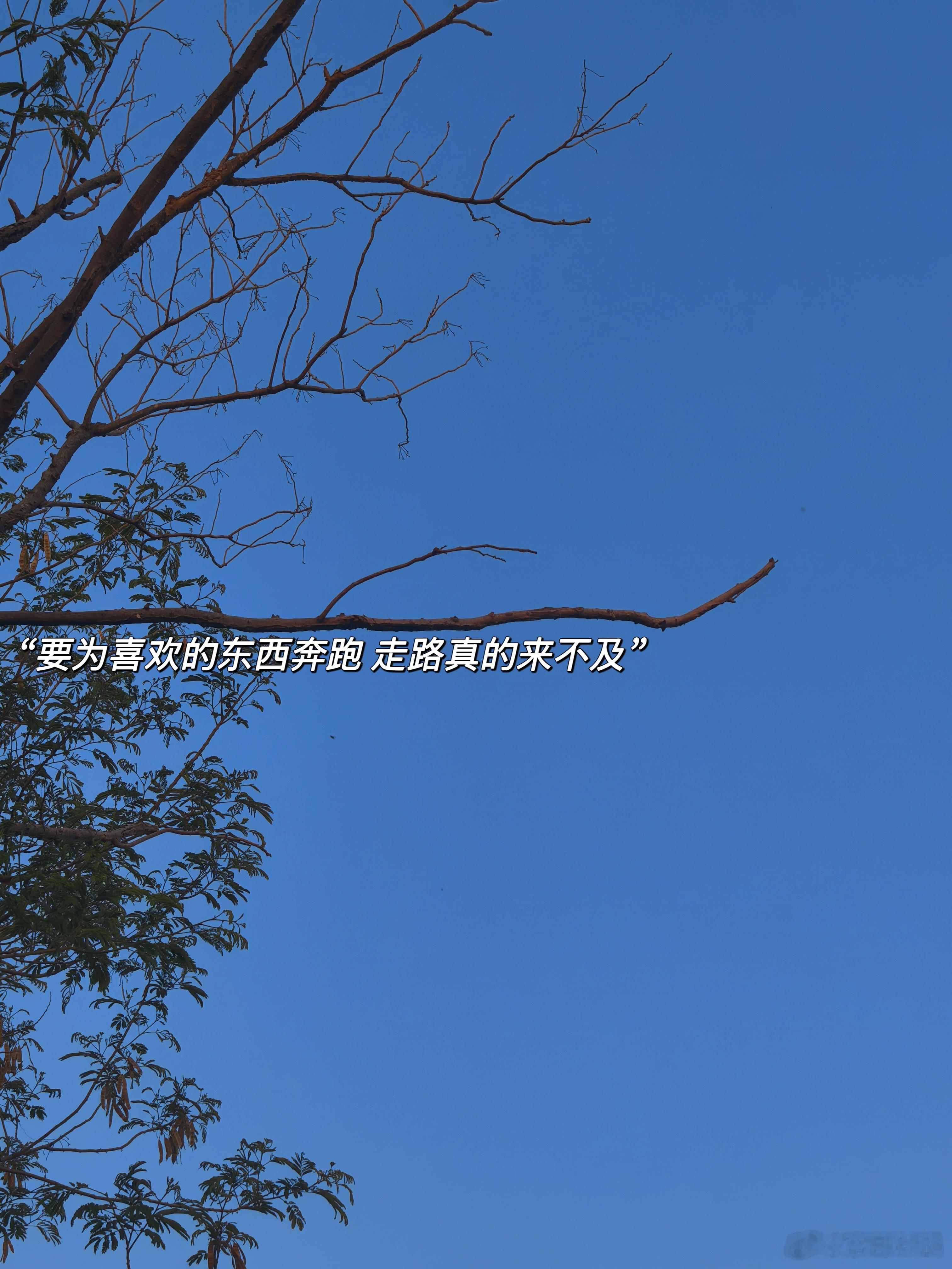 日常碎片🧩“拖延症：发个photoooooo”▪“不听反方向的钟 想做什么就冲