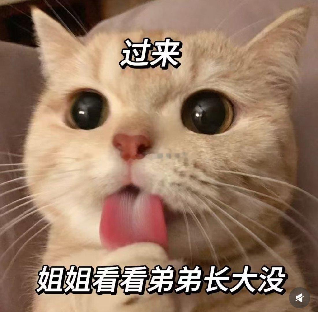 姨妈期结束后感觉❤️欲全无，还好最近没有见面不然🐺就得哭哭狼兔恋爱碎碎念