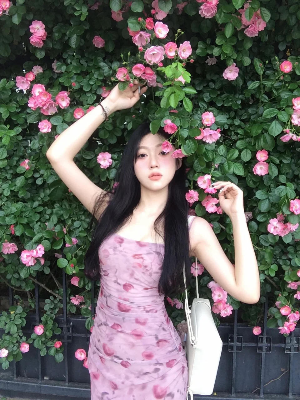 蔷薇花海🌸