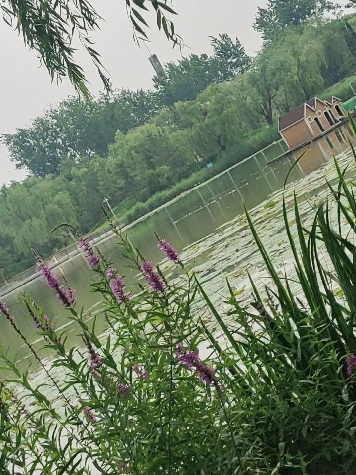 分享一下你随手拍下的照片