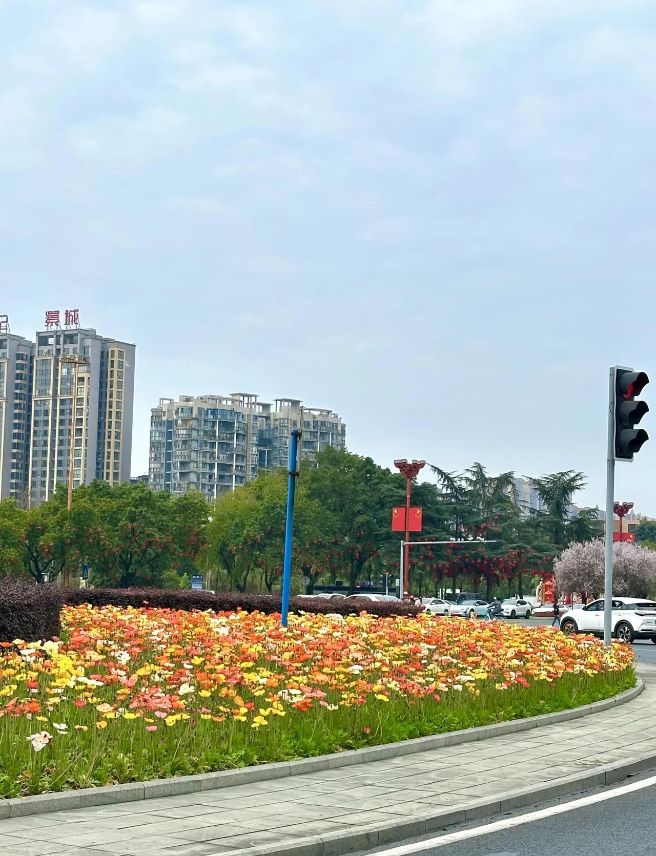 眉山市政开始发力了
绿化带里五颜六色的花真的绝美 审美遥遥领先
眉山 让城市多点