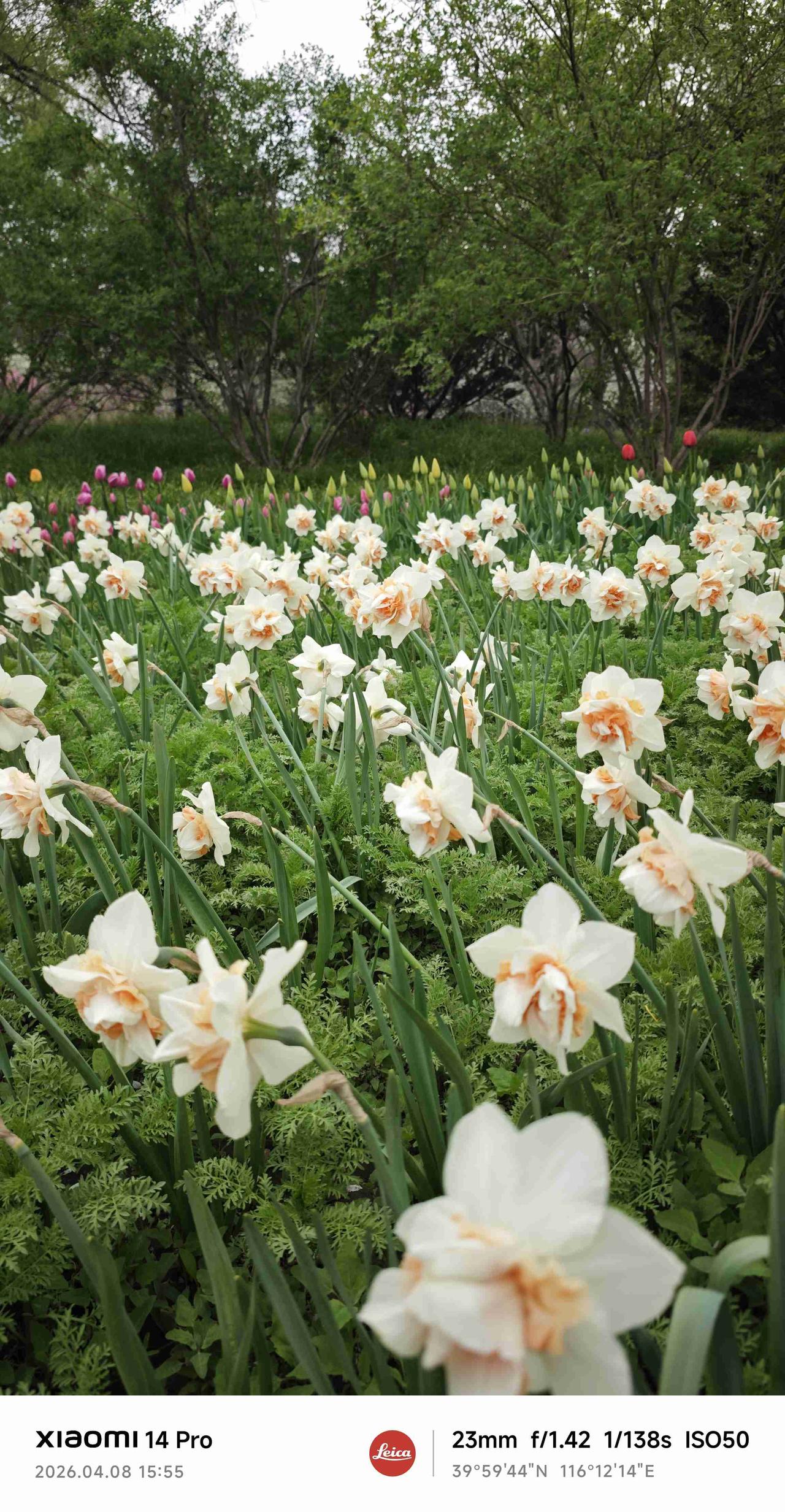 我的今日状态：😁轻松愉快
我这里的天气：☀️晴天 天气好，可以出去走一走，看看