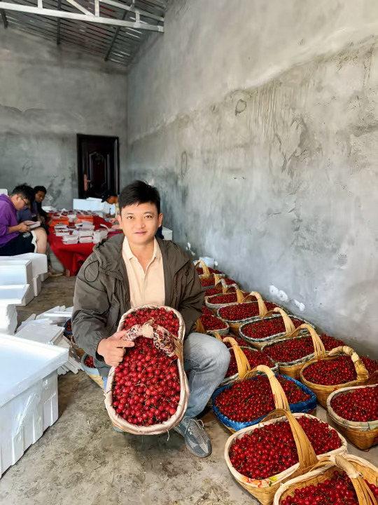 今年追后2天发货就下架！明年再约啦！
