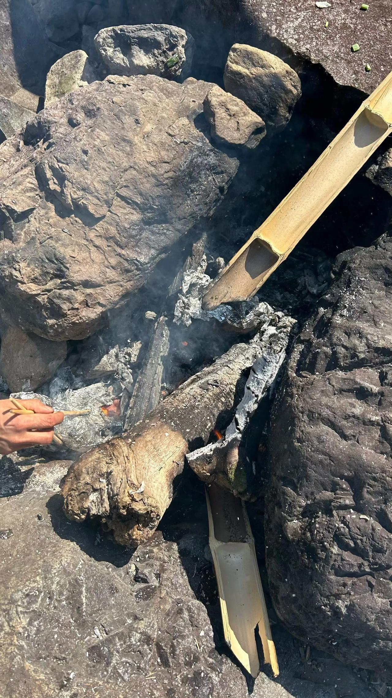 过年假期，去山里捡一些木柴，烤个地瓜真是太好了。