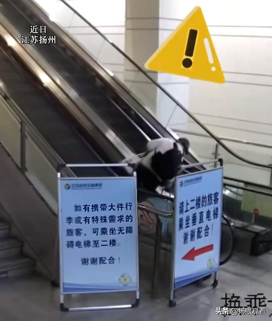 9秒！扬州女警妇女节最美逆行✨
 
三八妇女节当天
扬州发生超惊险一幕！
一位老