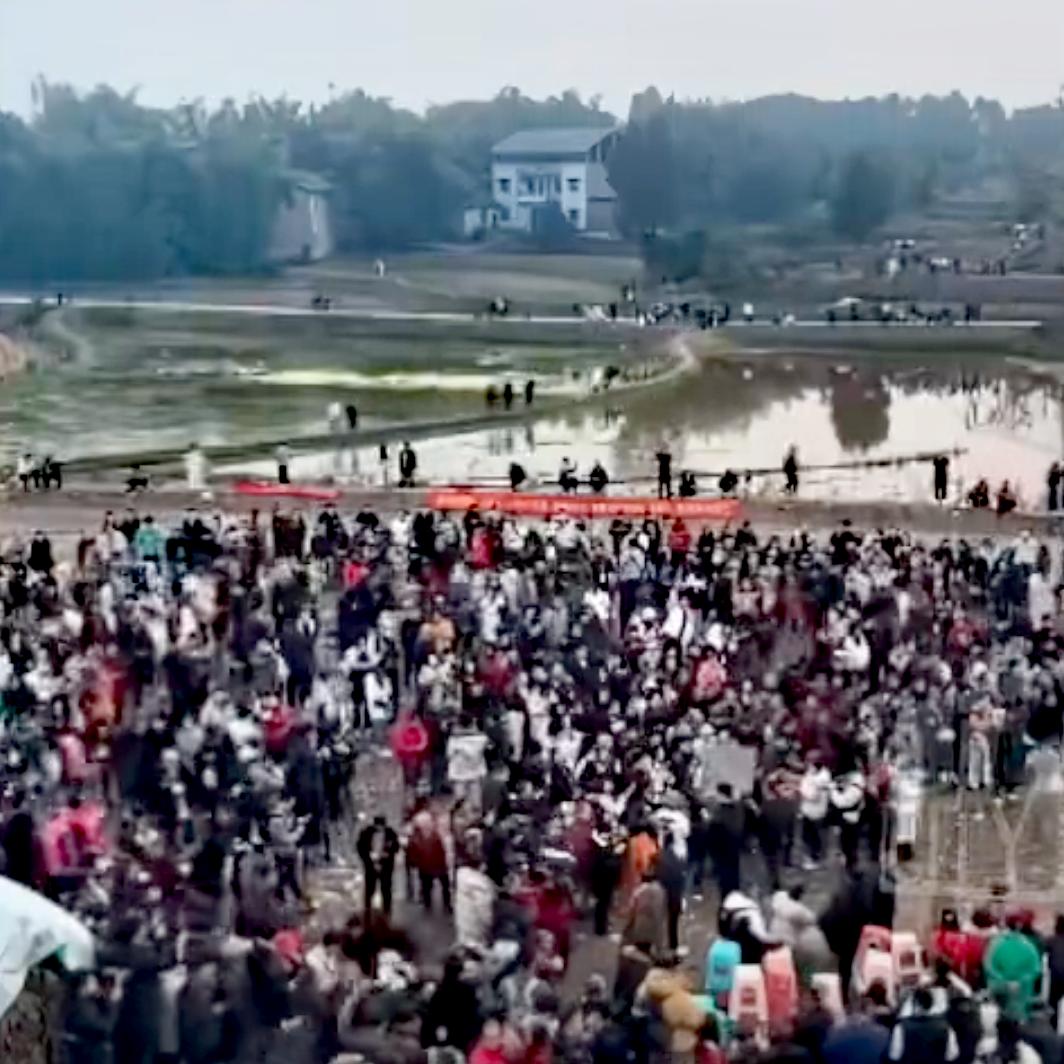 重庆姑娘一句"求帮按年猪"，引万人奔赴！这波流量密码，90%的人没看懂
谁能想到