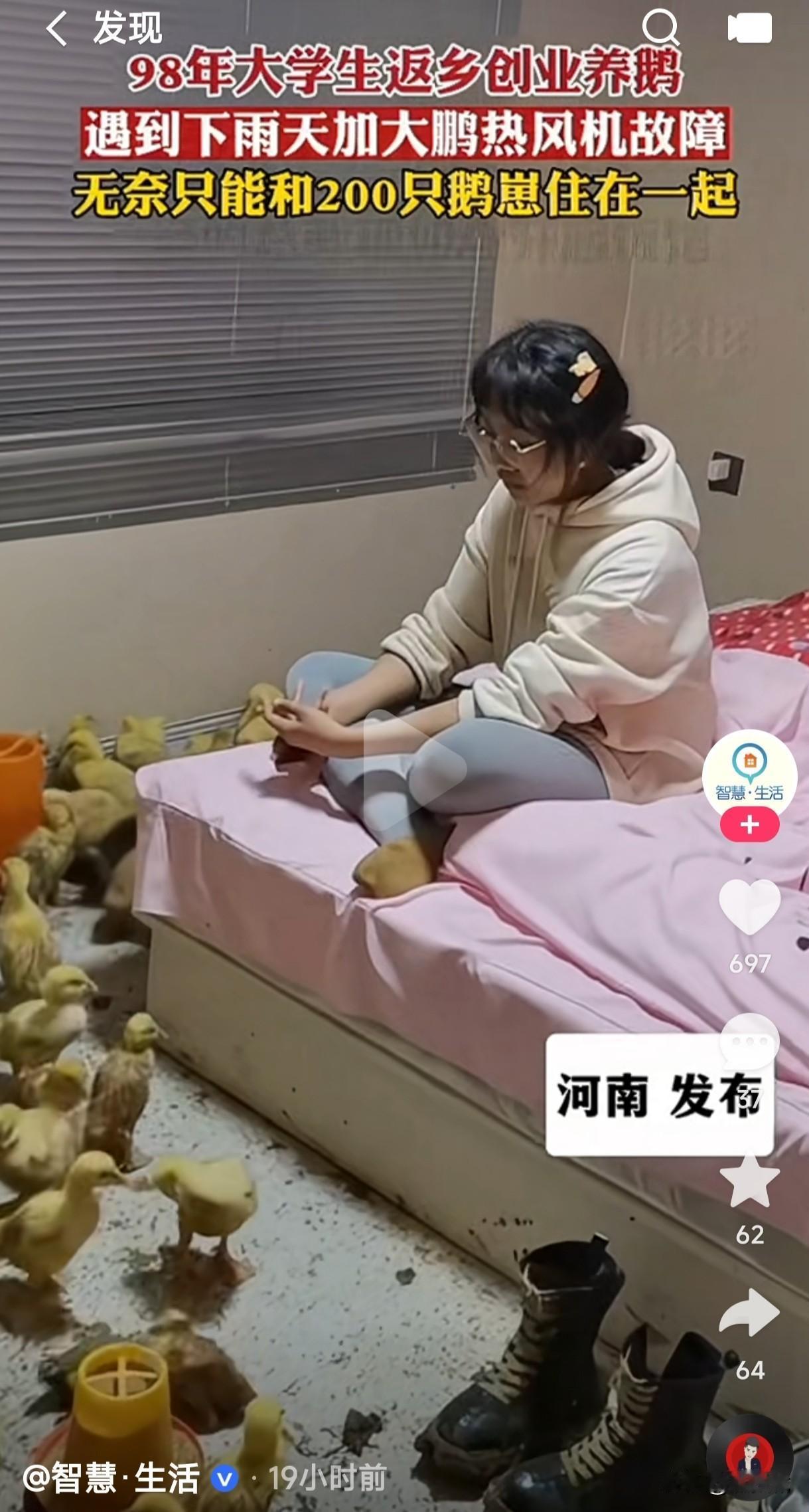 女大学生返乡创业，遇到下雨天又加上大鹏热风机出现故障，无奈只能和200只鹅崽住在