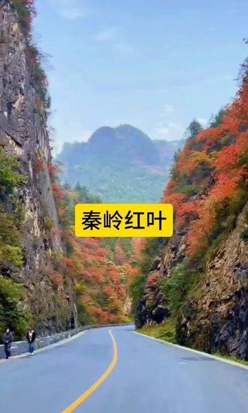 创作者赏金计划赏红叶最美的风景在路上旅行推荐官我拍到的治愈系风景旅行推荐景区自驾