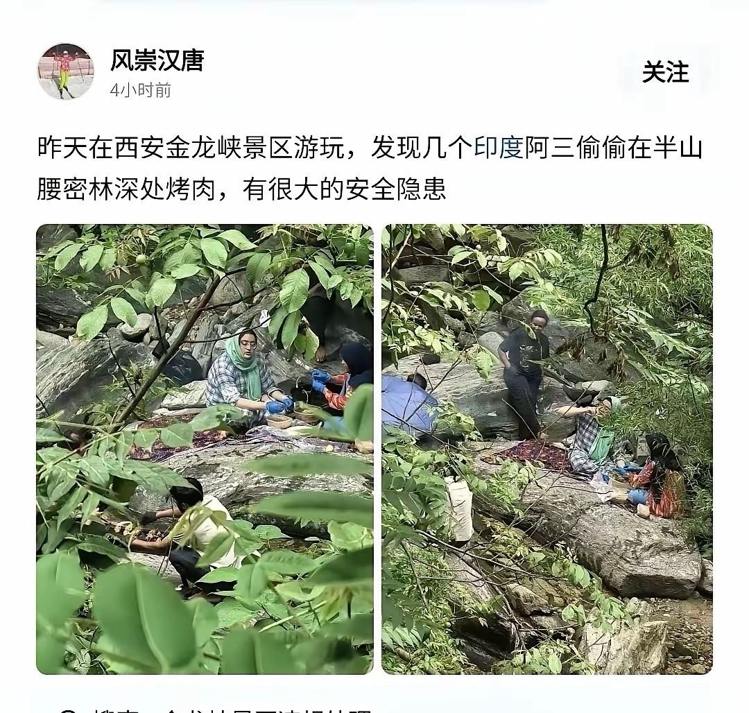 金龙峡密林冒烟，

烤肉架支在防火区，

谁在替秦岭赌运气。

最近金龙峡拍到一