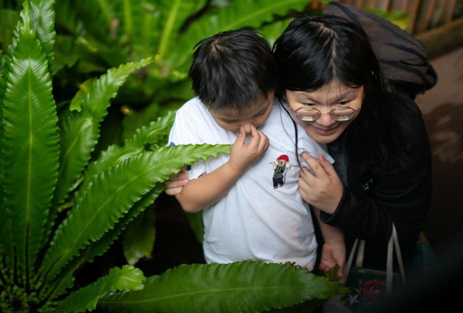 警惕！嗅觉差可能预示130多种疾病，是长寿“隐形杀手”
 
11月28日，英国科