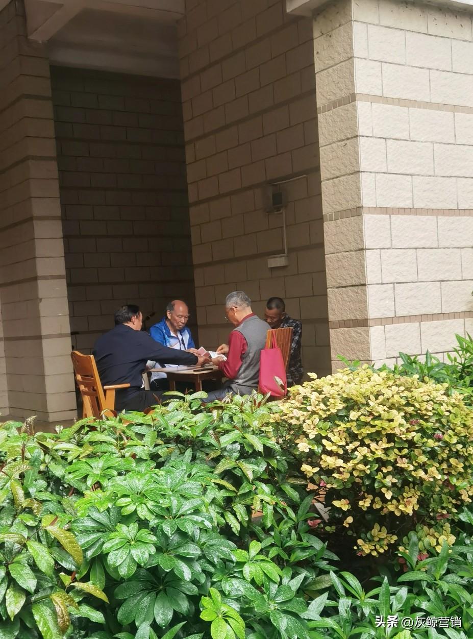 打牌成为很多老年人的周末时光。
在小区楼下散步，看到这么多的老人都开启了打牌模式