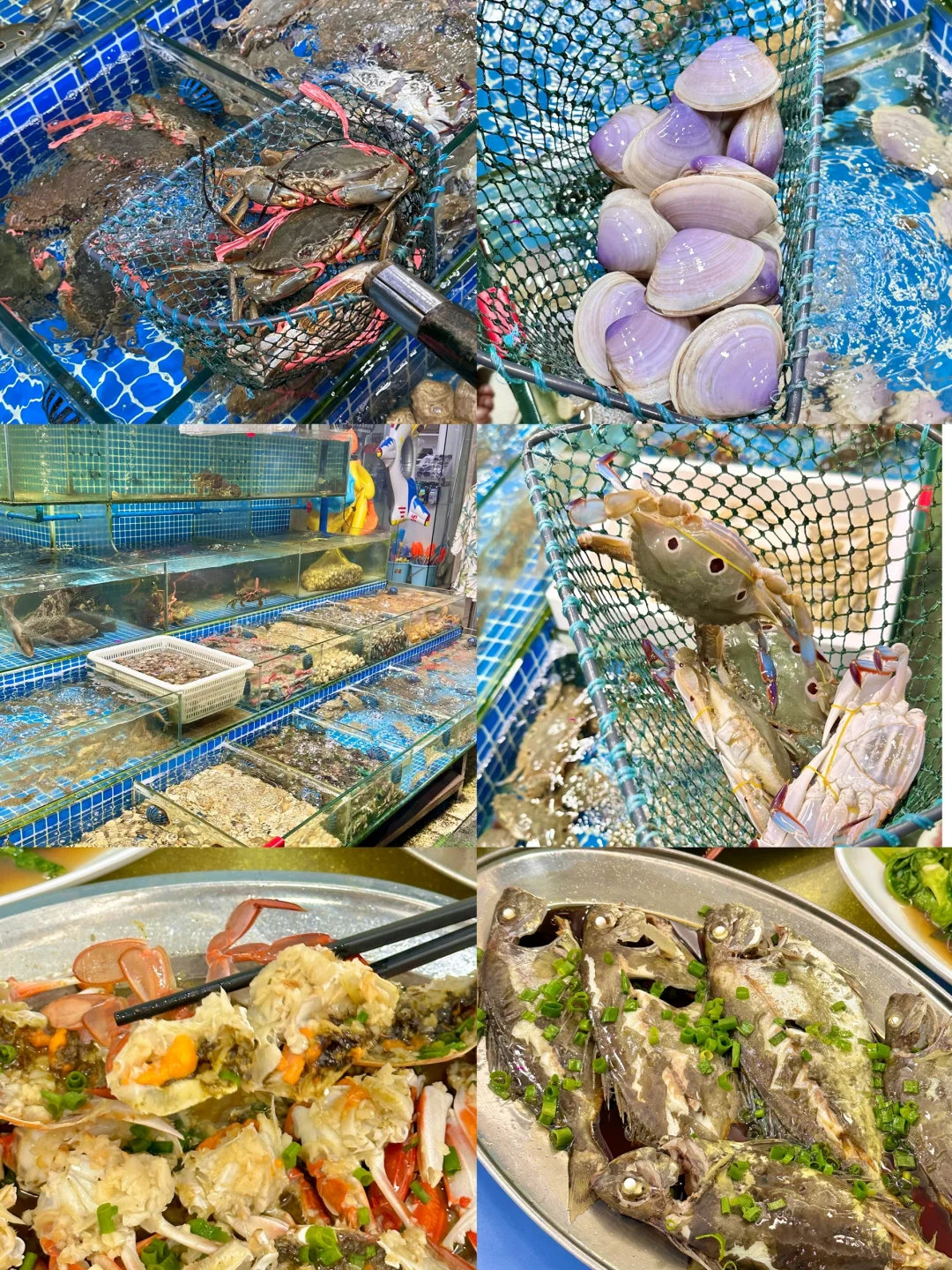 去巽寮湾吃海鲜再也不怕被宰