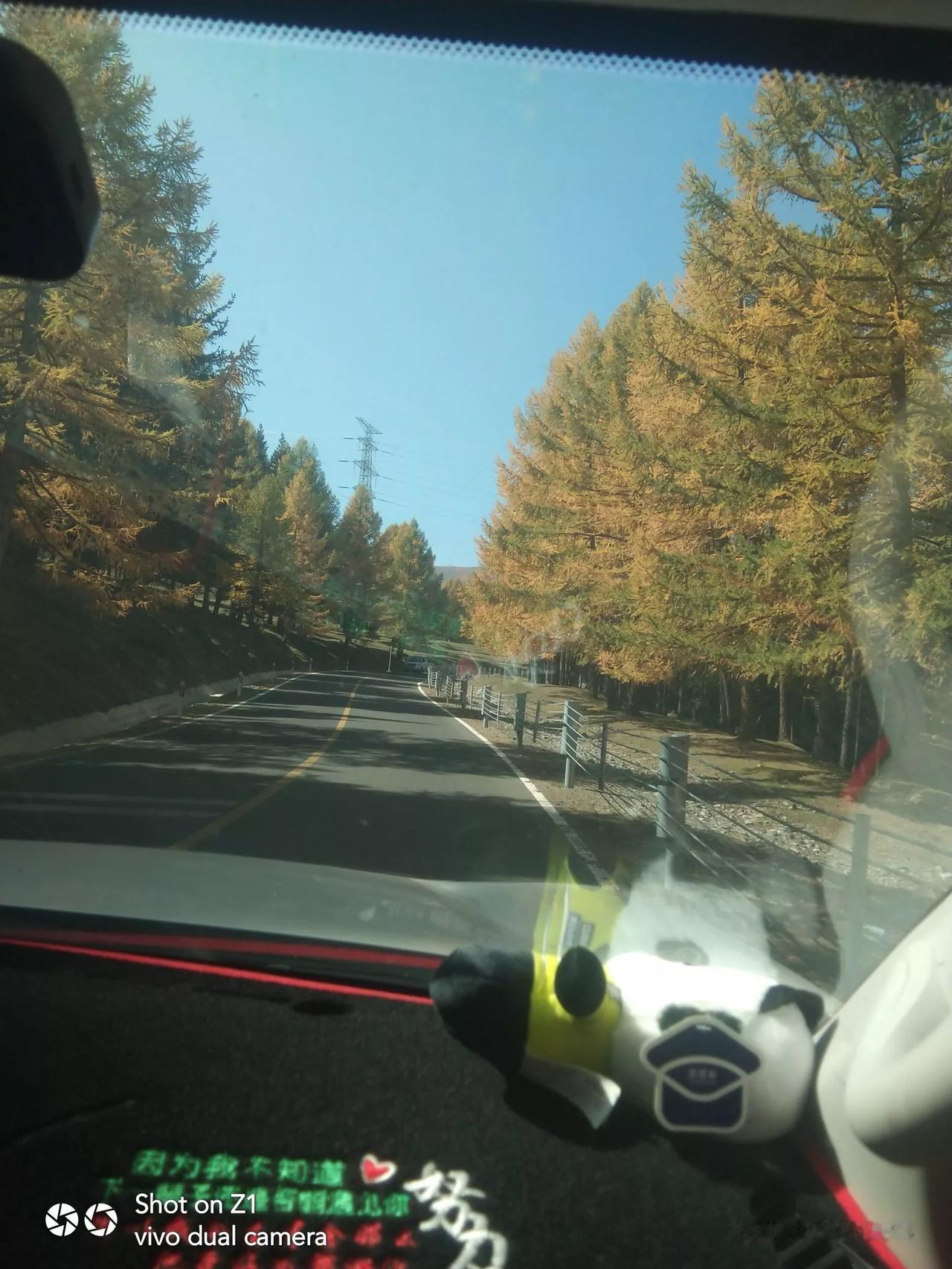 #公园美丽景随拍#