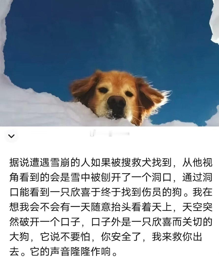小狗狗原来是上帝 