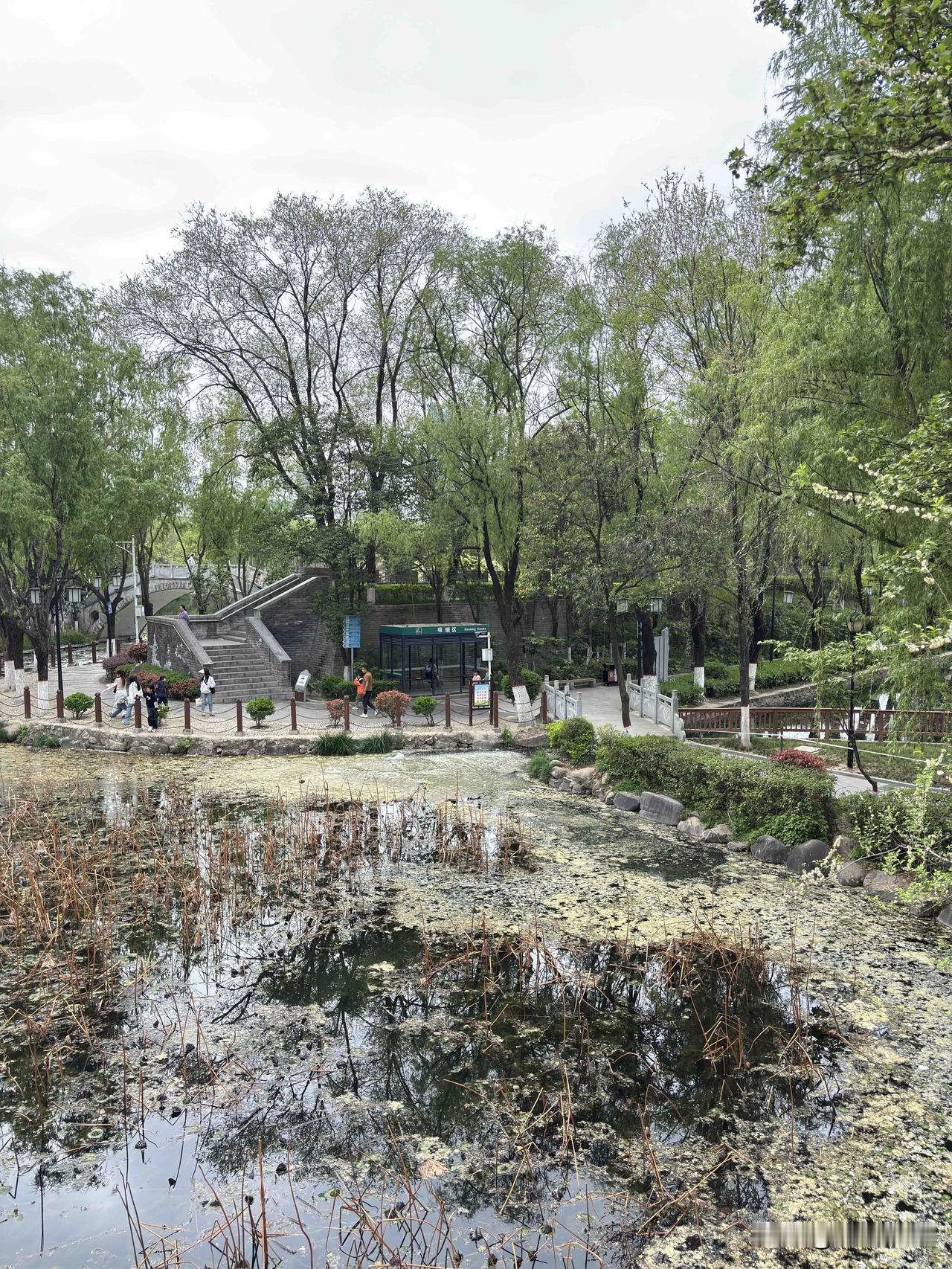 商洛这个公园，也叫莲湖公园，和西安的莲湖公园名字一样，这个位于商州区中心地带，市