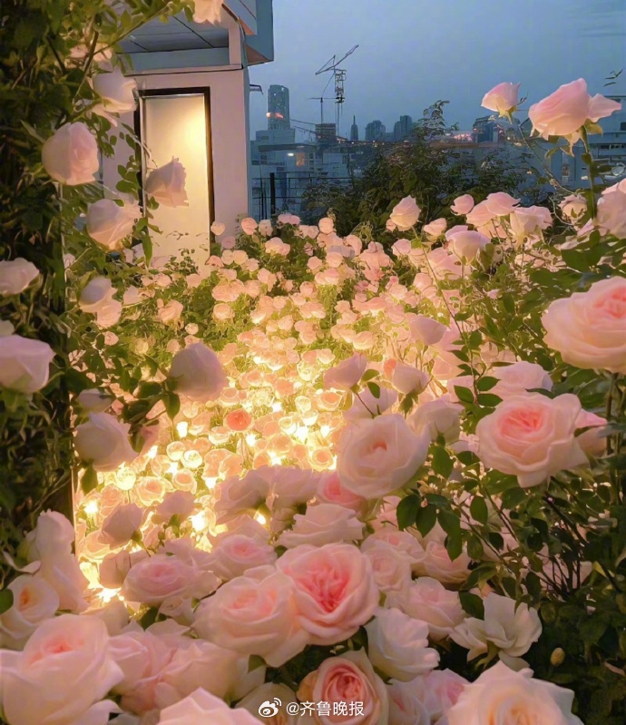 爱就像年轮般的拥抱，每一圈都裹着美好的春夏秋冬。#晚安#