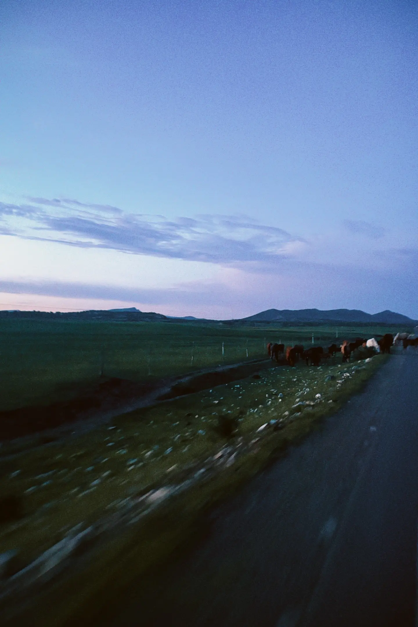 亲爱的 打败悲观通往幸福