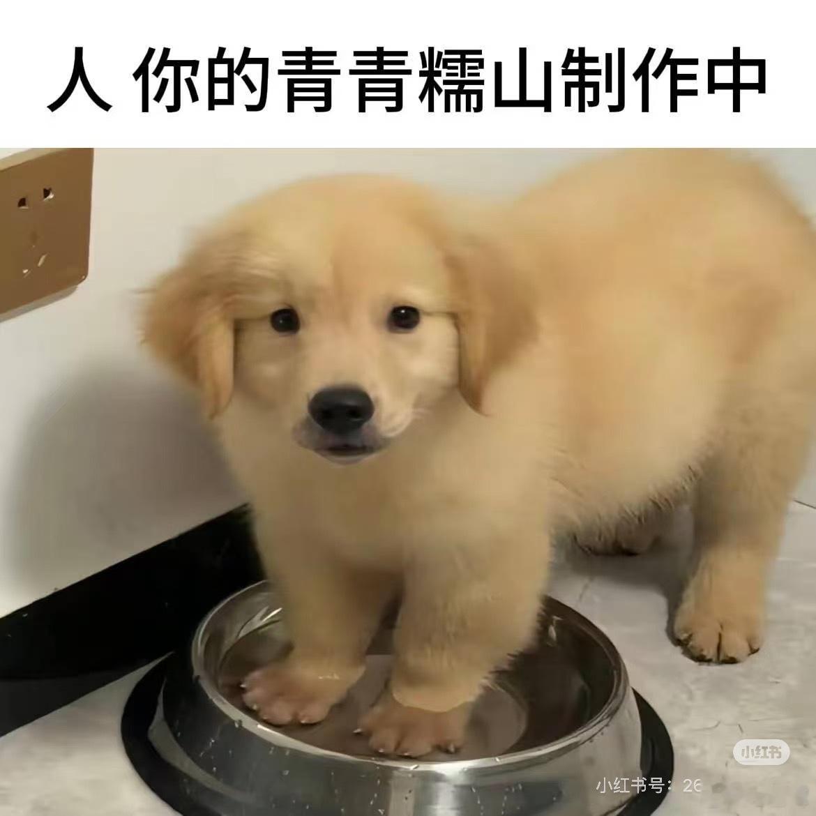 顶着油头结束今天的工作！ 