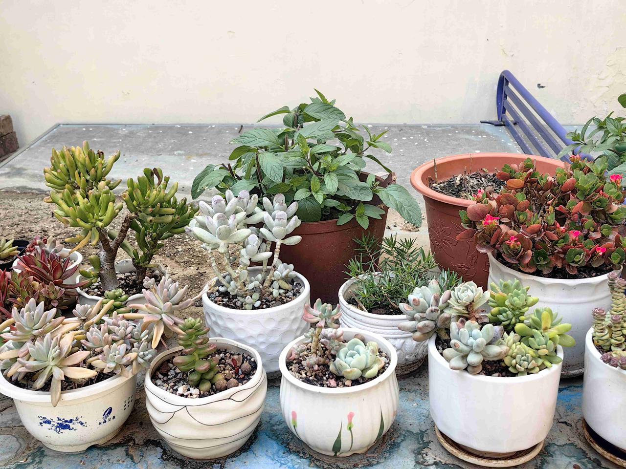 今天又是美好的一天，晴天，气温在13℃ - 26℃，不冷不热刚刚好。

此刻的我