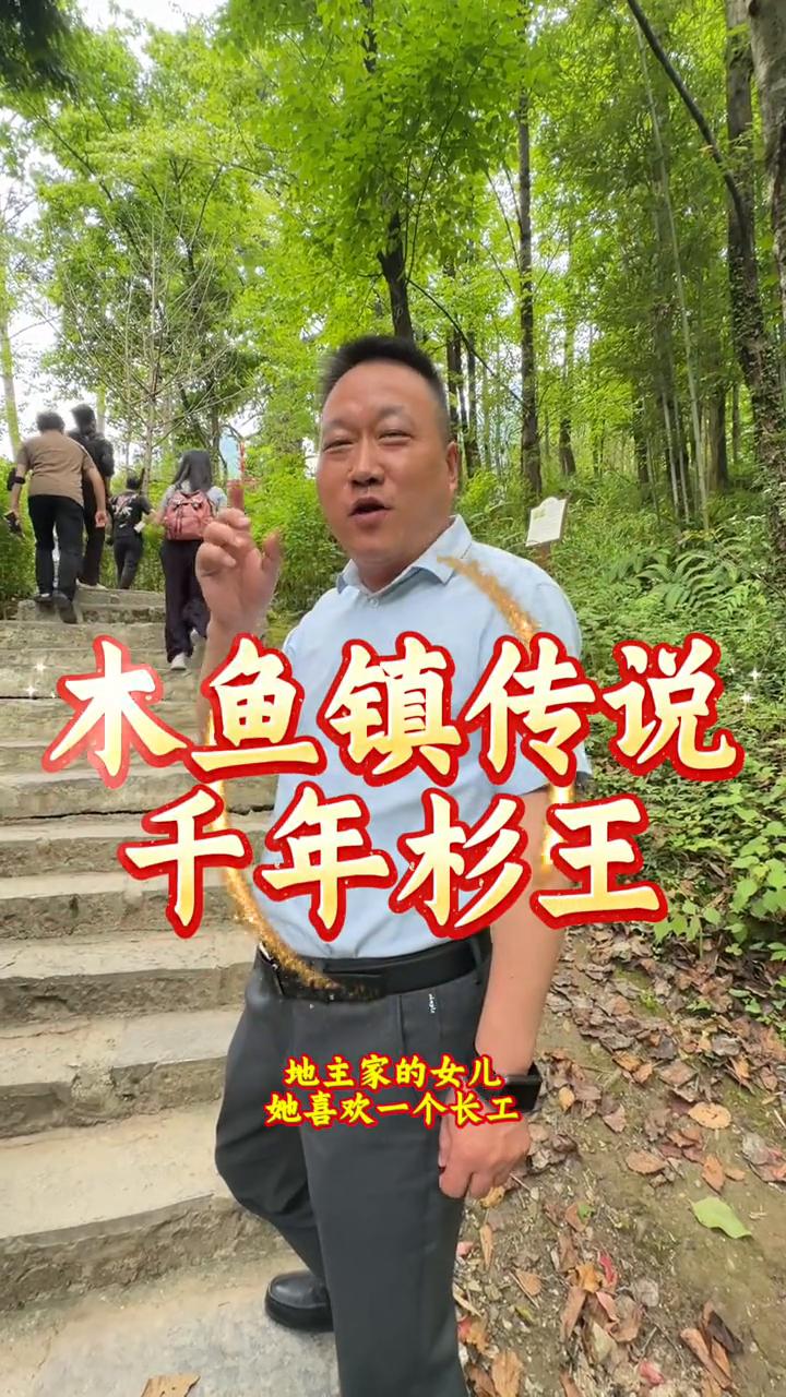 木鱼镇传说：千年杉王。
地主家的女儿。
她喜欢一个长工，跟着长工要私奔。
对。