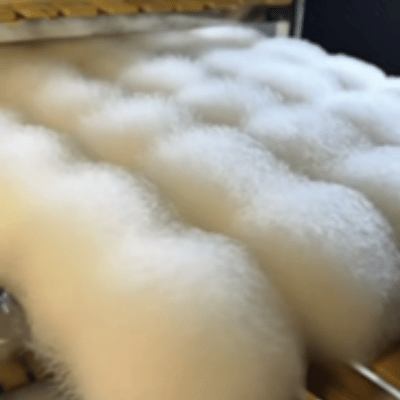 泰国有自己的毛豆腐 毛豆腐是“祖先”，粉红汤面是“后裔”！同属发酵豆腐家族，一个