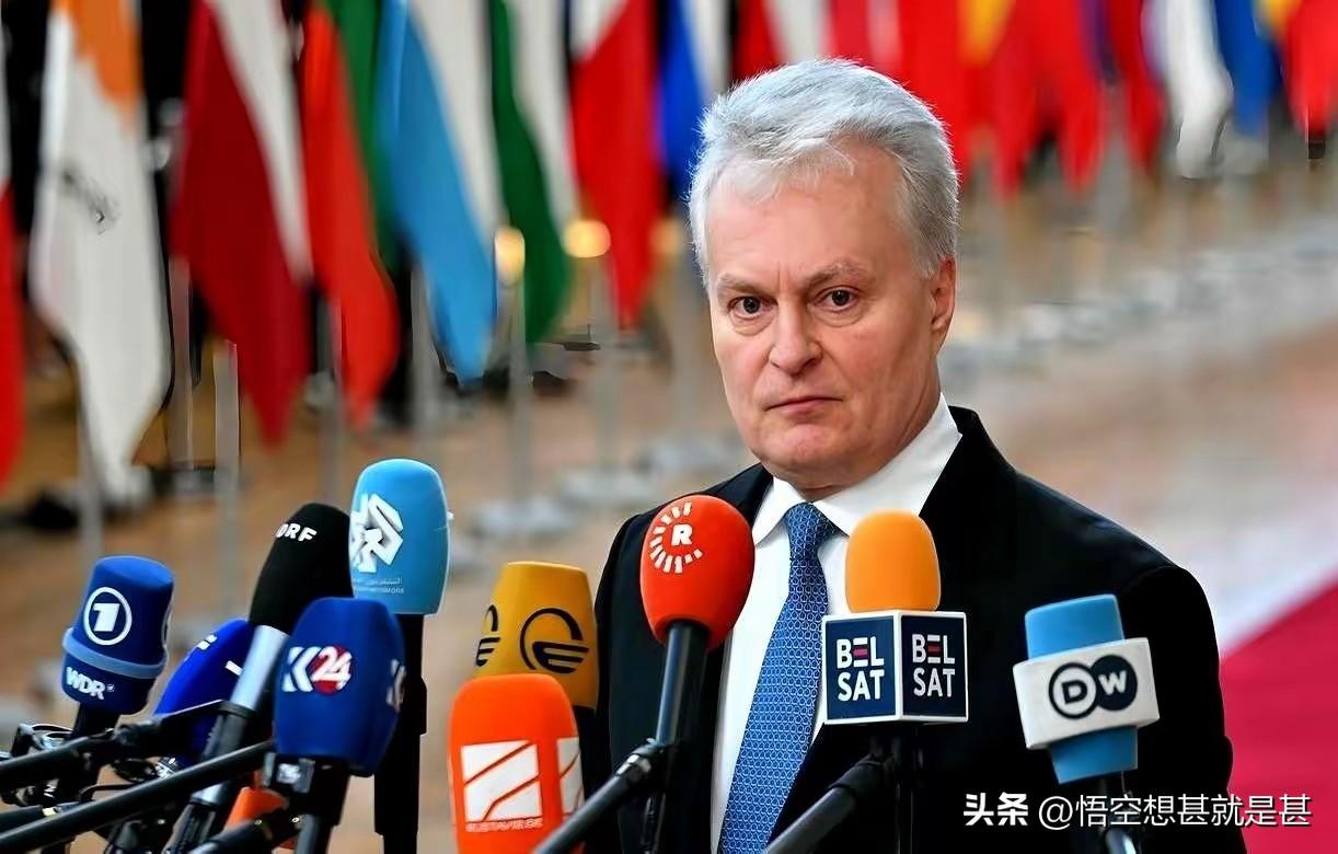 立陶宛小小国而已，说它小小，是指其国品小也，别无它意，就像我这样无聊时，写立陶宛